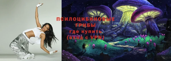 СК Волгодонск