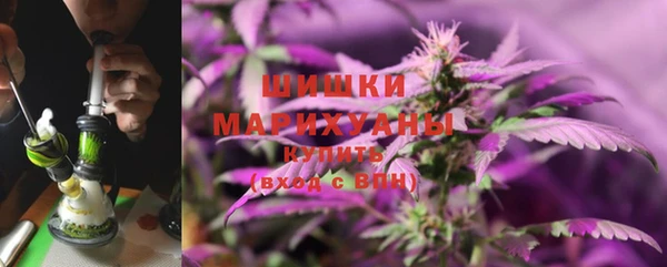 СК Волгодонск