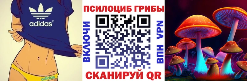 Галлюциногенные грибы прущие грибы  Данилов 